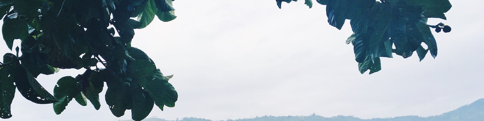 One of the three lakes in Lake Sebu and the second biggest one.
#ExpediaCares #LifeatExpedia