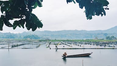 One of the three lakes in Lake Sebu and the second biggest one.
#ExpediaCares #LifeatExpedia