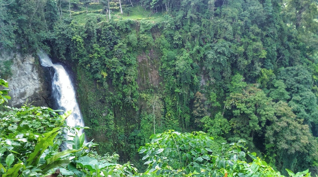 #waterfalls no. 2 at Lake Sebu! #nature #outdoors #travel #Philippines