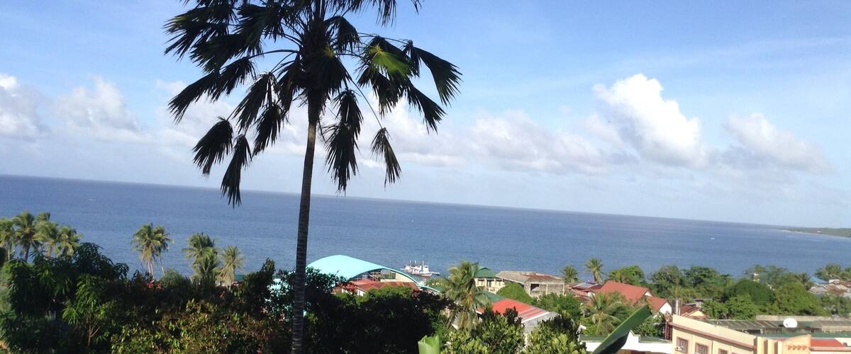 A palm tree, ocean, and buildings in the distance.