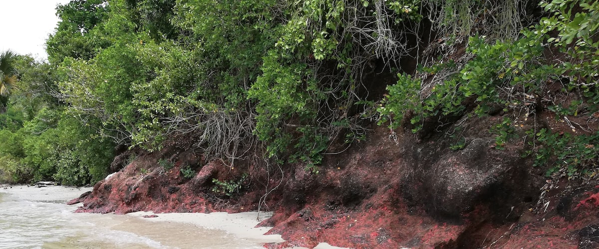A beach with red sand and green foliage.