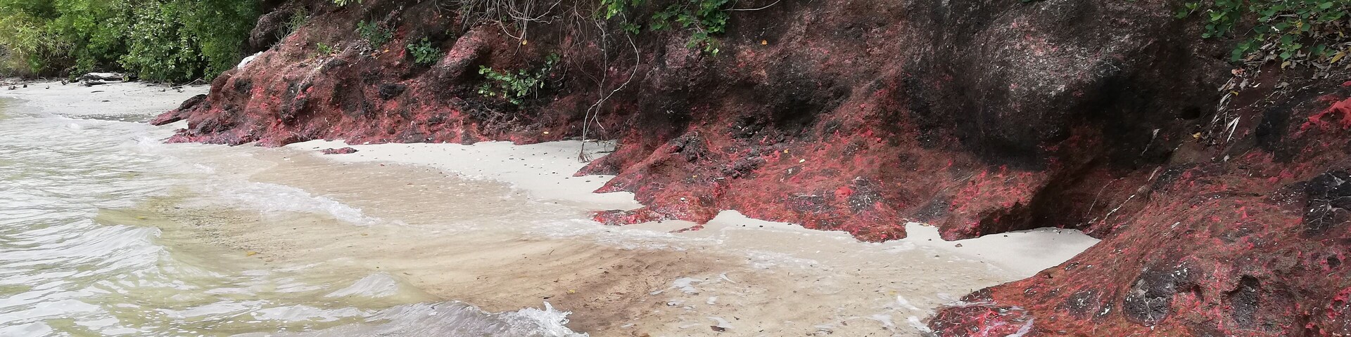 A beach with red sand and green foliage.