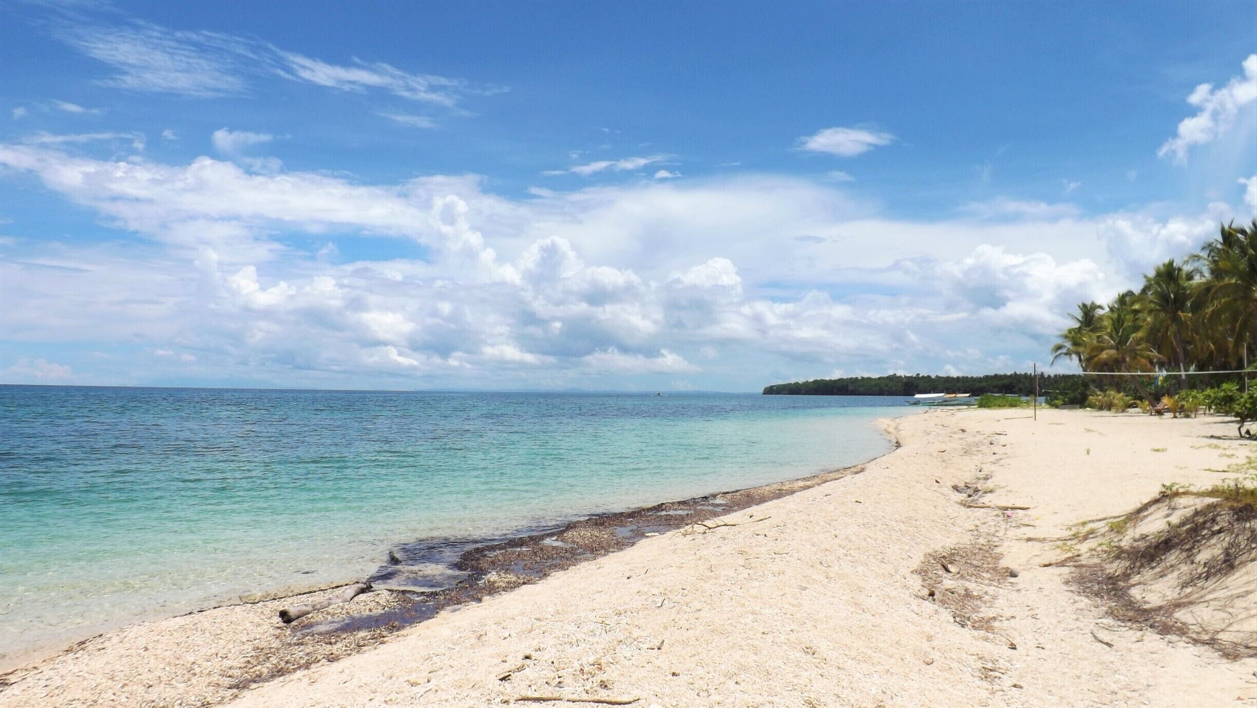 A sandy beach with clear turquoise water, palm trees, and a distant shoreline.