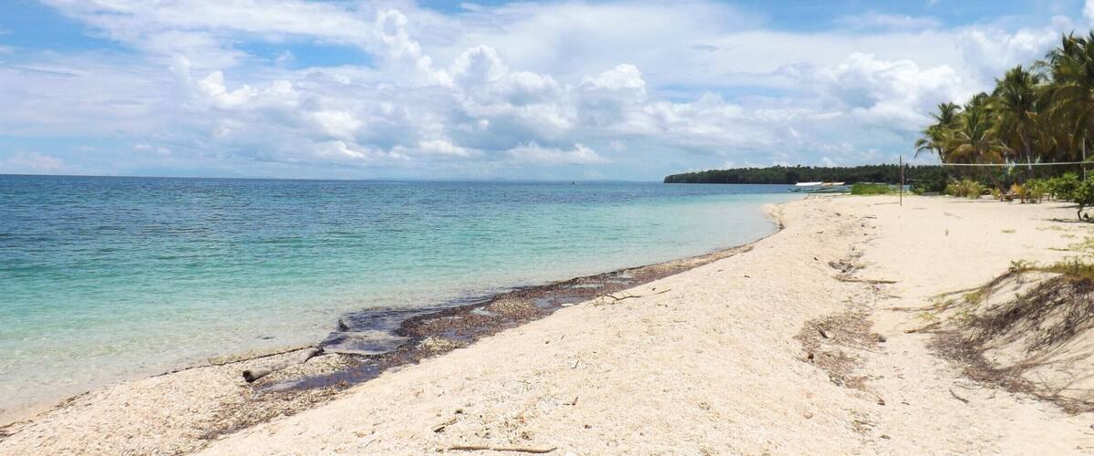 A sandy beach with clear turquoise water, palm trees, and a distant shoreline.