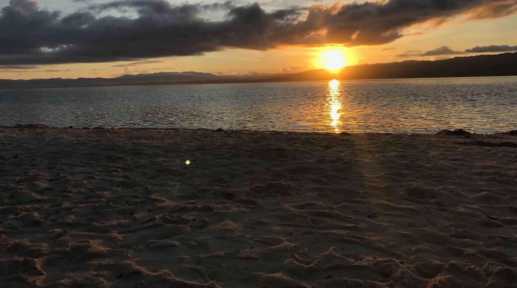 Highly recommend visiting Canigao Island and spending a night on the island. No Airbnb’s...just tents and open cottages! *must be open to sleeping with ants all over you* lol.