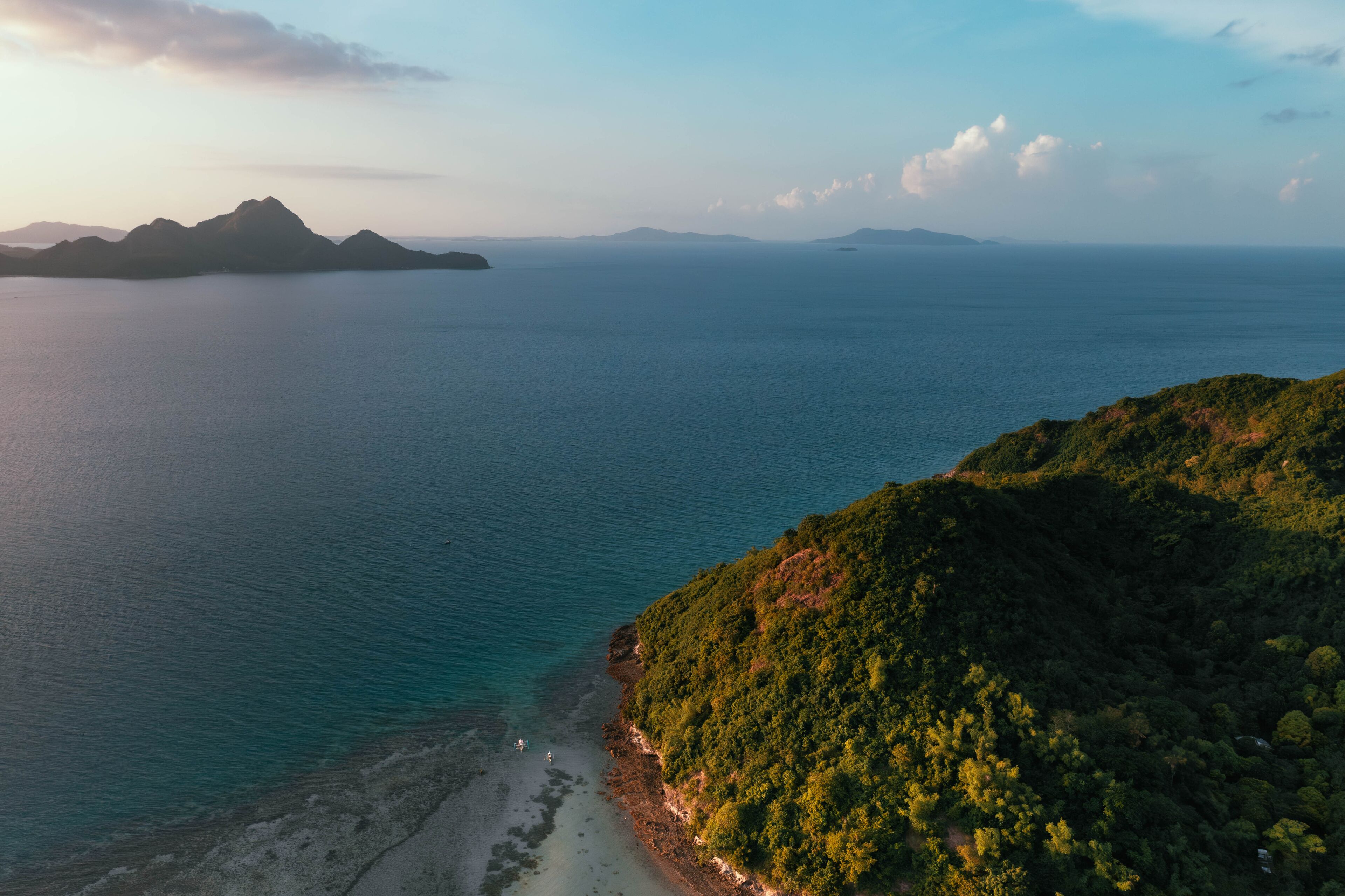 A coastal landscape with a beach, dense green forest, and distant mountains.