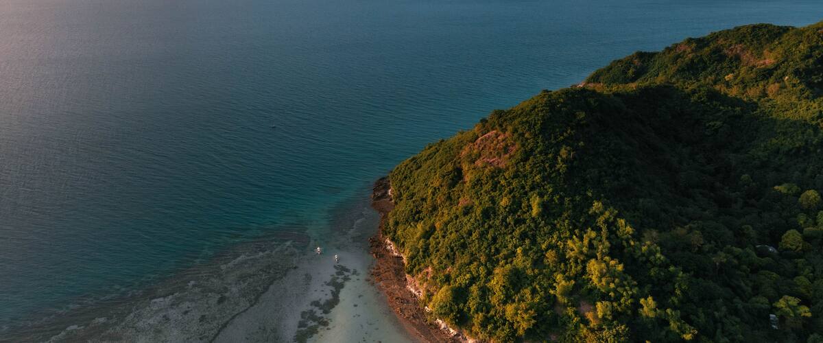 A coastal landscape with a beach, dense green forest, and distant mountains.