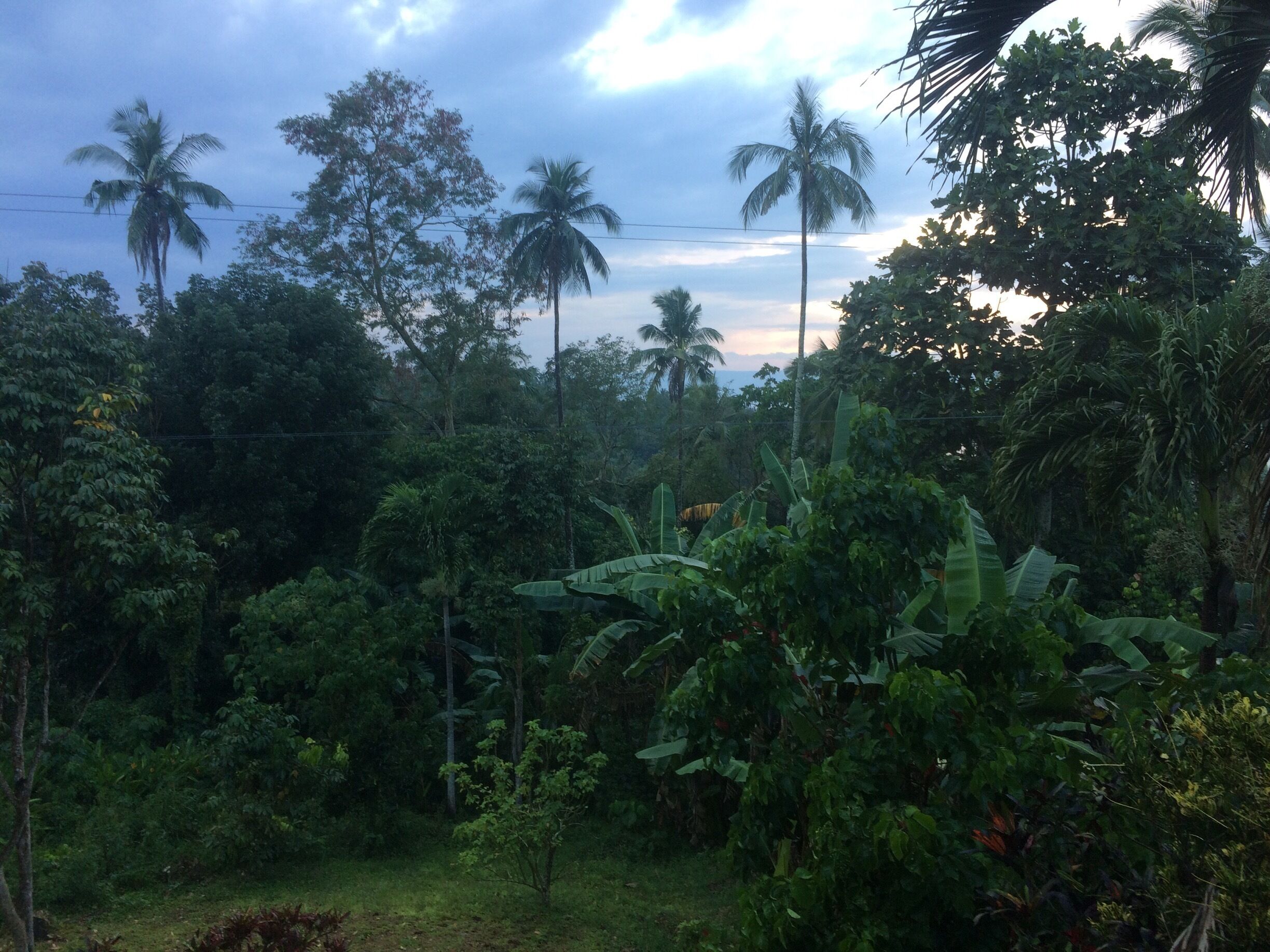 Lovely view of the park