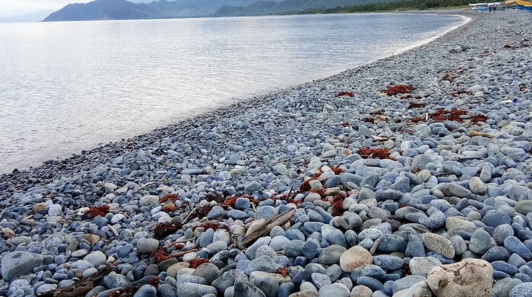 This is located at the back of my grandmothers house in the Aurora Province. Pure beauty indeed! Here you can see turtles, crabs, octopus, fishes and many more! ❤