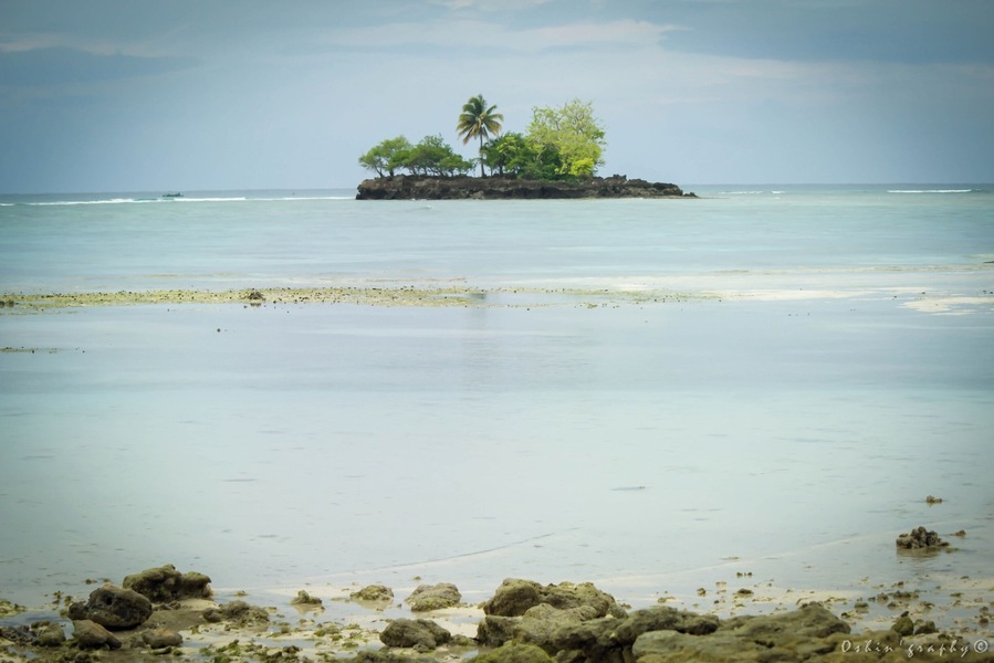 This island is a home to "pawikan" or universally known as tortoise. They come here to lay eggs and they come back after several weeks for their hatchlings. Ironically, the term "panikian" is not in any way associated with "pawikan." The former refers to bats. The islet on the picture is not the island itself, but it is within the bounds of Panikian Island. Not too many people come here because the government is trying to allow tortoises to lay their eggs without human intervention. In line with that, there are "bantay-dagat" authorities assigned here to guard the vicinity from intruders and from people who illegally catch tortoises.
It's truly a home away from home. It relaxes the mind, body, heart and soul.
Happy travels,
Star, Iligan City, PH
