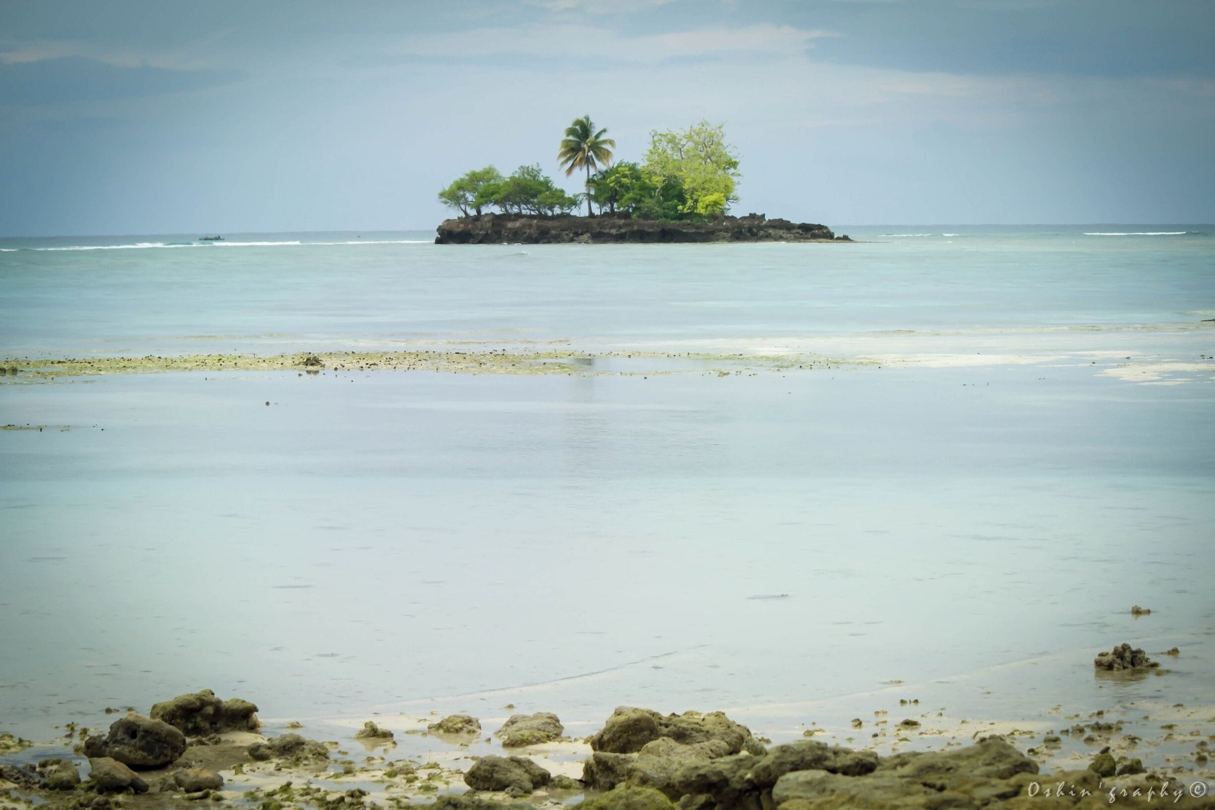 A calm beach with clear water, a small island with trees, and rocky foreground.