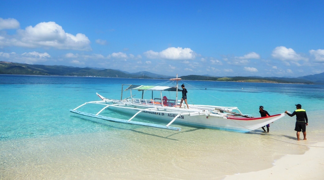One of the best beaches we have visited in the Philippines. The sand is white and pink and powdery. To get to the island, you need to hire a boat from the Port of Matnog. The boat will take you island hopping. One of the stops is a fish sanctuary. And your final destination is the Subic Beach on the Calintaan Island - where you can stay overnight or stay for the day. Your boat will pick you up and take you back to the port. We rented a room by the beach, some opted to hire a tent. This might not be the same next time we go back as there are rumours that a big resort bought a piece of the island. #Philippines #islandlife #beach #endlesssummer