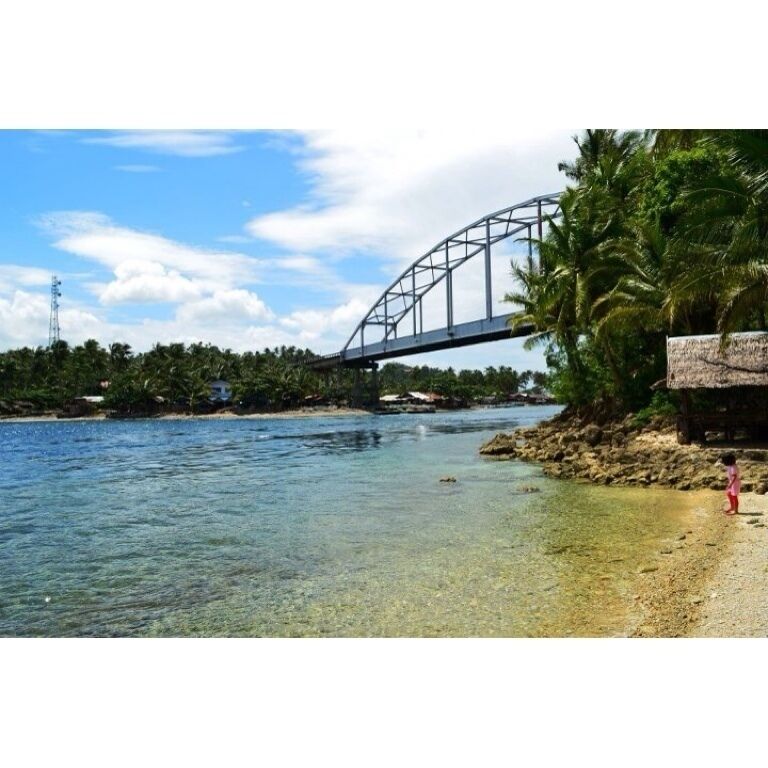 A bridge over a clear river, palm trees, and a rocky shore.