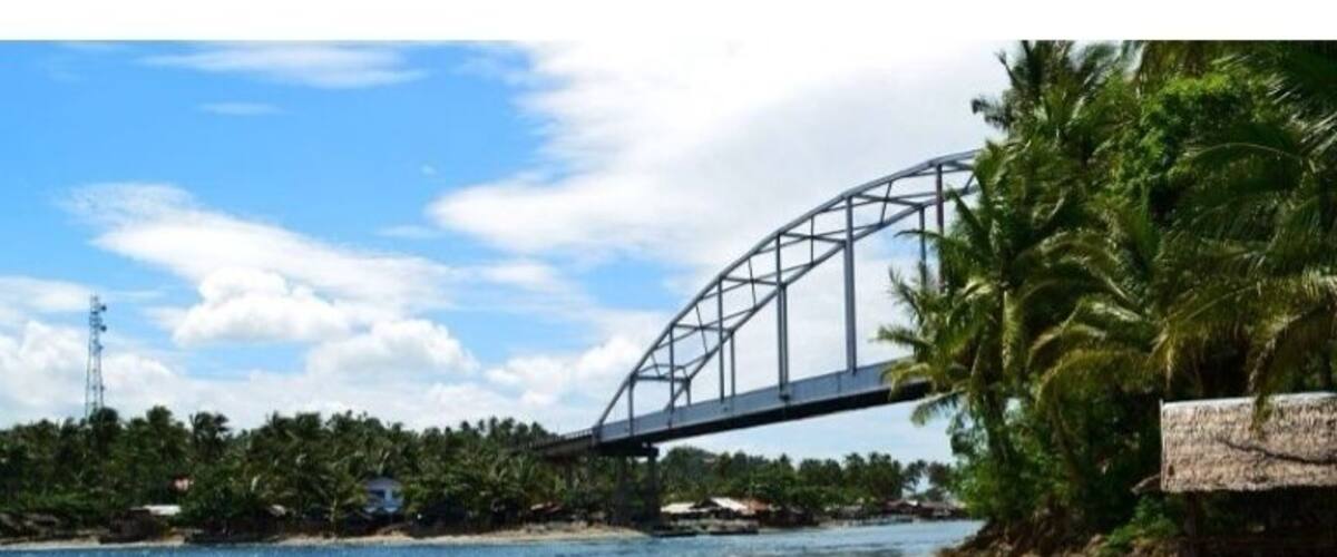 A bridge over a clear river, palm trees, and a rocky shore.
