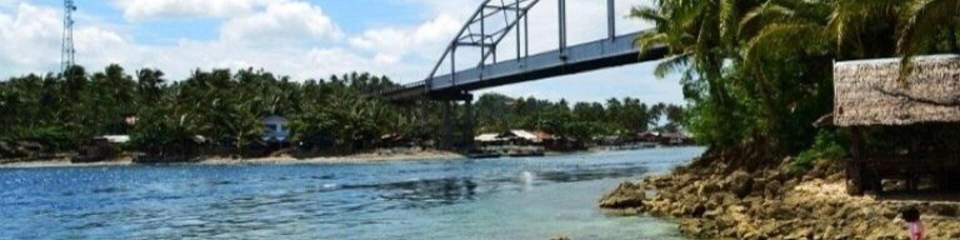 A bridge over a clear river, palm trees, and a rocky shore.
