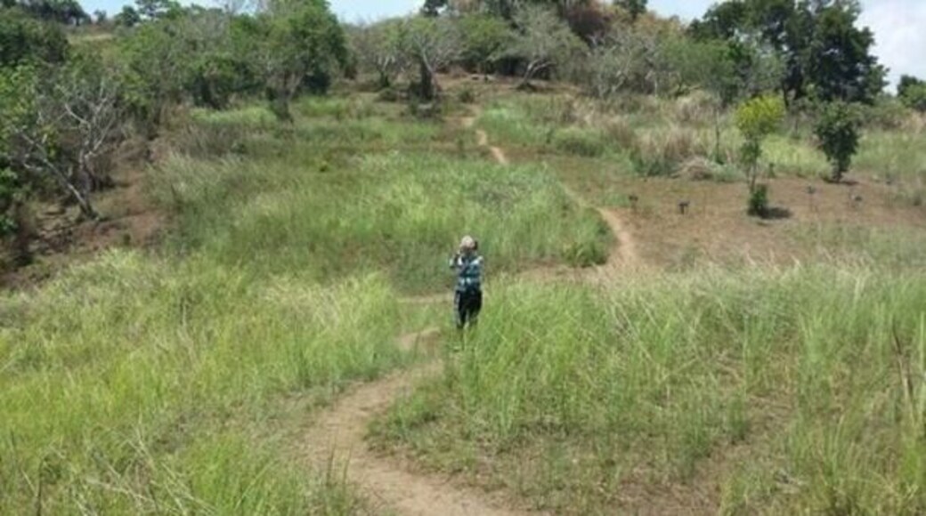 Going to the peak of Mt. Tagapo. The heat is on! Hahaha..super init!
#tagapopeak #summit #hiking