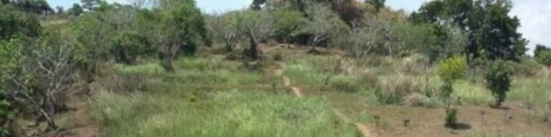 Going to the peak of Mt. Tagapo. The heat is on! Hahaha..super init!
#tagapopeak #summit #hiking