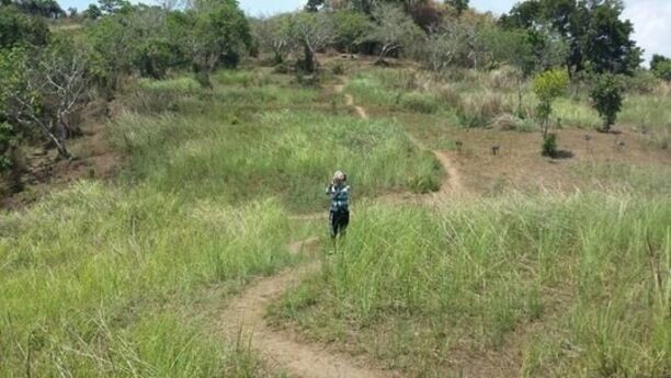 A person walking on a dirt path through a grassy area with scattered trees.