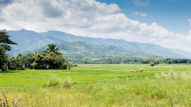 Mountains of Cordillera, Nueva Ecija, Philippines
