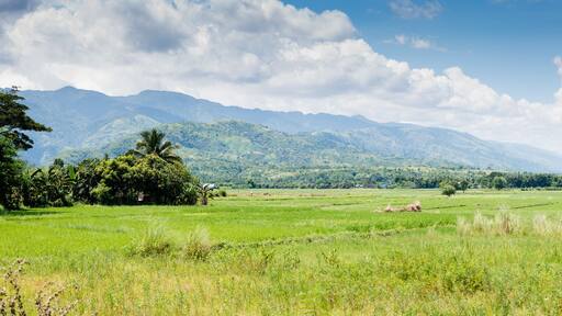 Mountains of Cordillera, Nueva Ecija, Philippines
