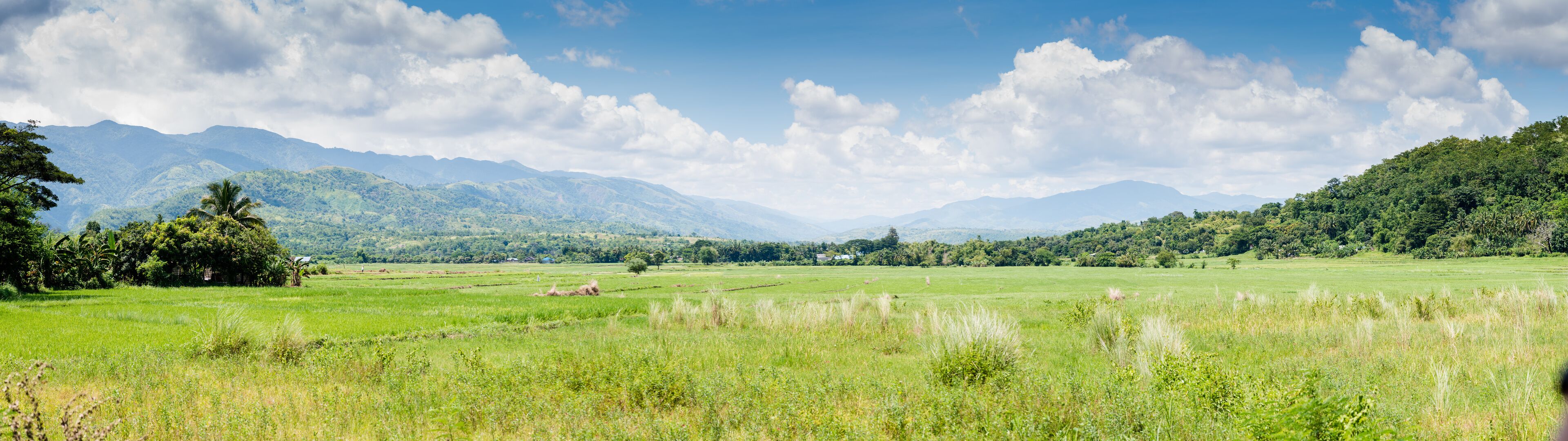 A lush green valley with rolling hills and mountains in the background.