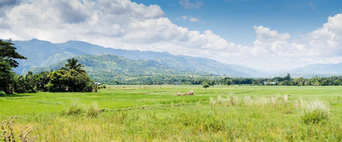 A lush green valley with rolling hills and mountains in the background.