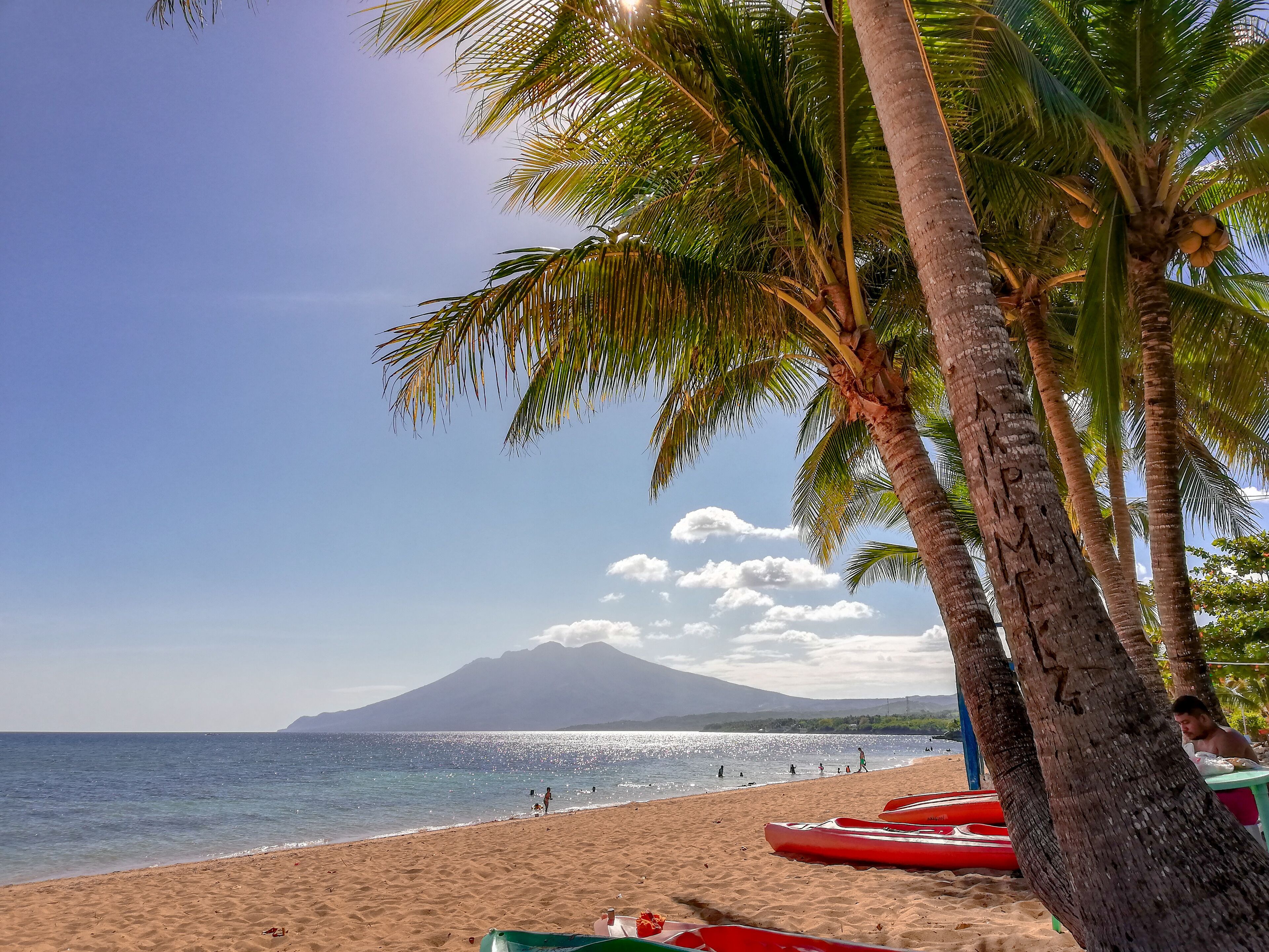 A beach with palm trees, kayaks, and a mountain in the background.