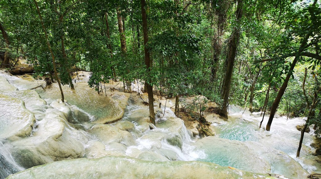 Kaparkan Water Falls
The Philippines 🇵🇭 is famous for its many rice terraces and so it was a pleasant surprise for me to learn about Kaparkan Water Falls which I personally describe as a beautiful cascading "water terraces"! The gods must have wanted this place for themselves that they made this gem of nature so remote and extremely difficult to get to. Unpaved roads make for a slow and super bumpy destination but the stunning views of green hills and mountains along the way sure makes up for it! The grass and trees are lush and bright green. This is also one of the very few places I have been to that is really clean! No trash or plastics along the way and on this very spot! 👍🏻
The trail is not accessible by ordinary vehicles. Only "monster trucks" are capable of getting adventurers through this "hell ride"! The truck ride by itself is an adventure and frankly, the highlight of the trip for me. A few minutes into the drive, after putting the chains on the wheels, I got unseated unceremoniously and earned myself a few bruises enough for me to give up filming so that I can use both my hands to hold on for dear life!
The water falls (terraces) are made up of varrying sized infinity pools with cool and clear water cascading from the topmost level and watersource all the way down to the river below. #LocalSecrets #ItsMoreFunInThePhilippines #Adventure #trovember #Outdoors