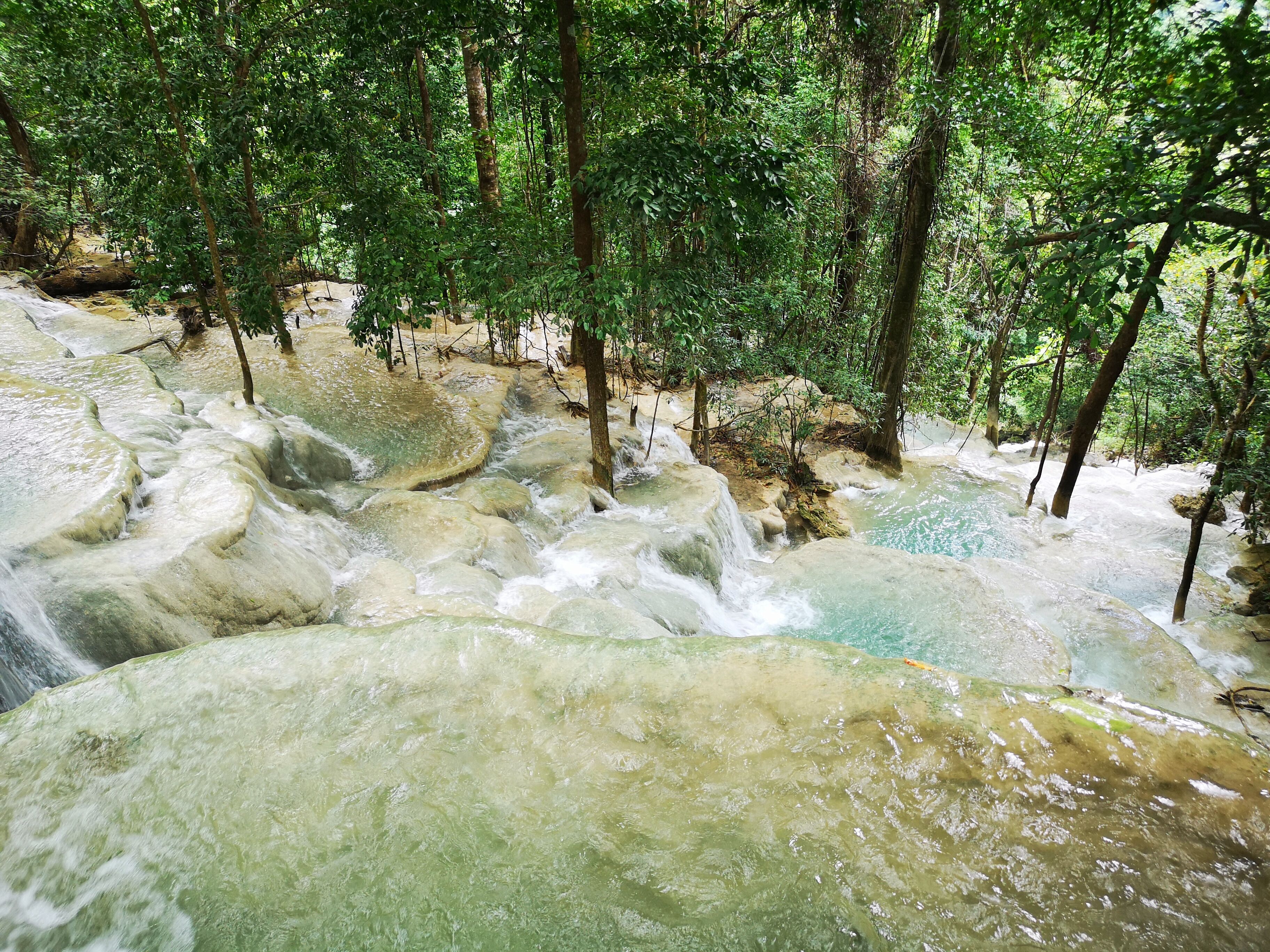 A river flowing through a forest with rocky formations and trees.