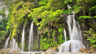 Uma cascata cercada por vegetação exuberante e pedras.