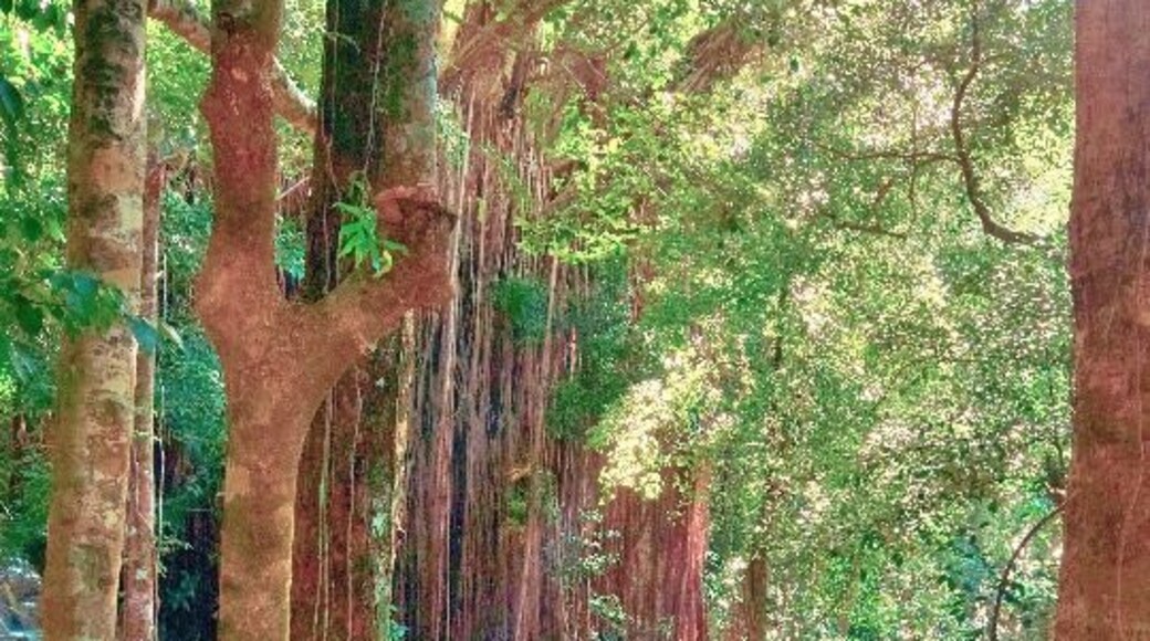 Kaparkan season has ended. It's time for it to have a rest from tourists. I hope the dry season will be good to it.
#kaparkanfalls
