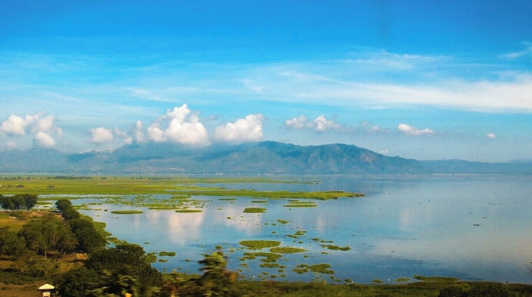 Driving slow on a Thursday morning. A flurry of vibrant scenery against the rolled-down black-tinted window of the car.
We stopped for a while to take in the sight. Hop in. Drive again, repeat.
