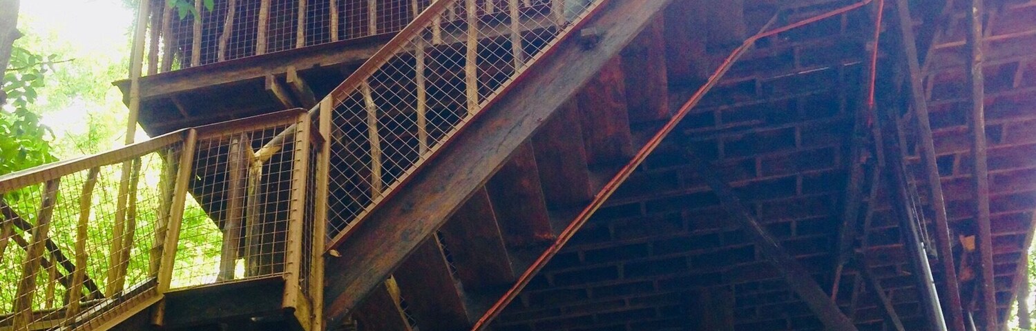 A green haven in Ilocos Norte ( Philippines ) awaits people longing for the healing power of Nature... there are Treehouses, hanging Bridge to name a few.... #Nature#Green#Outdoor