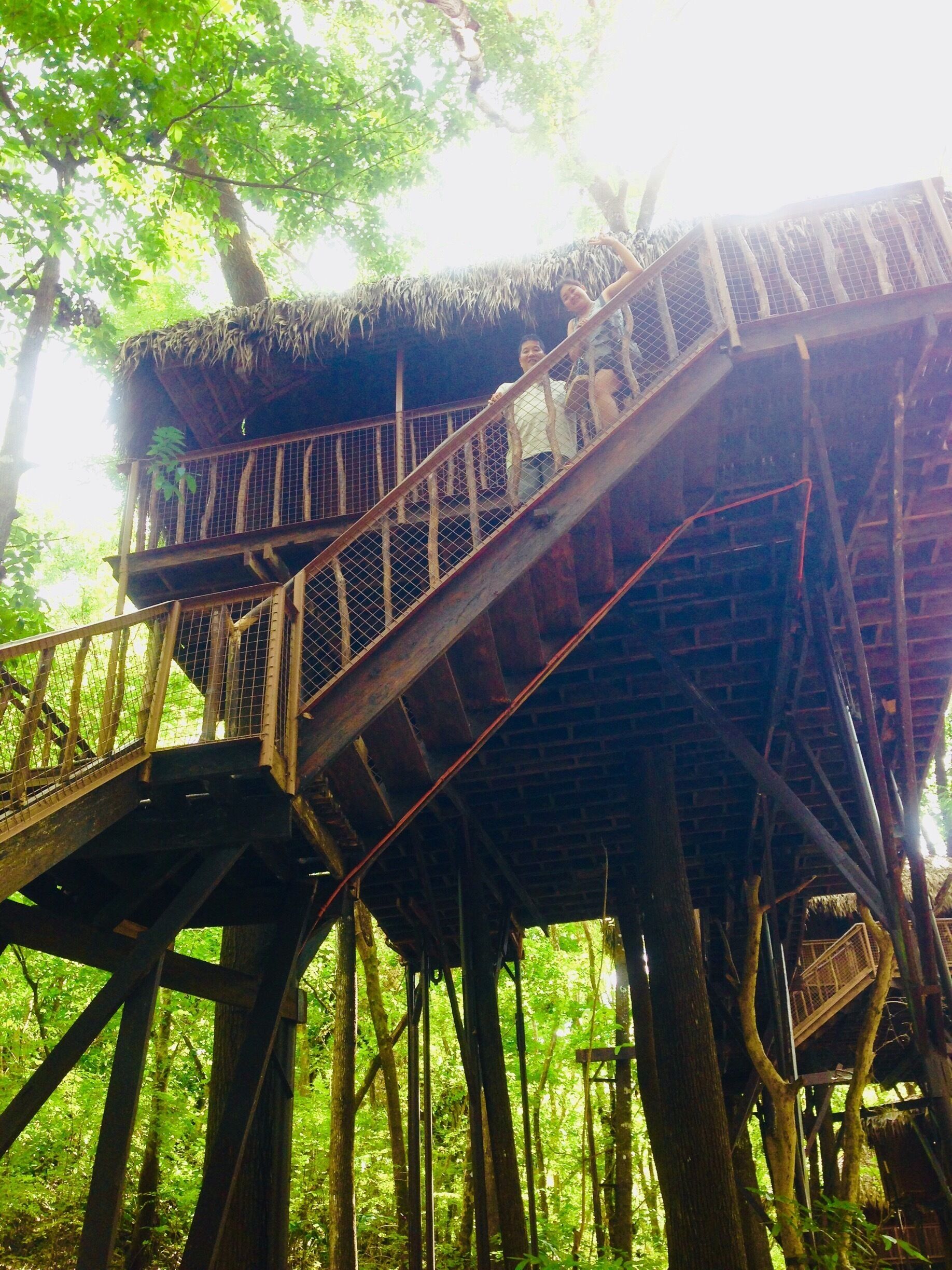 A treehouse with a thatched roof and wooden stairs.
