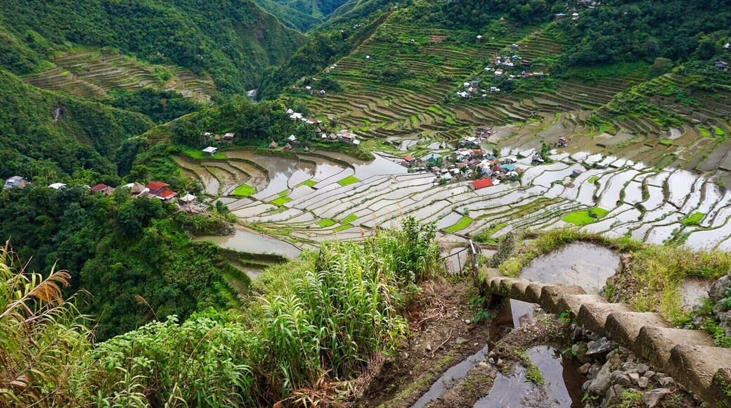 Batad is a village situated among the Ifugao rice terraces, a #UNESCO heritage site. The location of the Amphitheater Rice Terraces.
