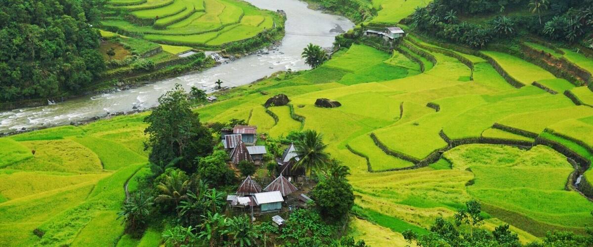 Rice Terraces in Banue, Philippines 🇵🇭