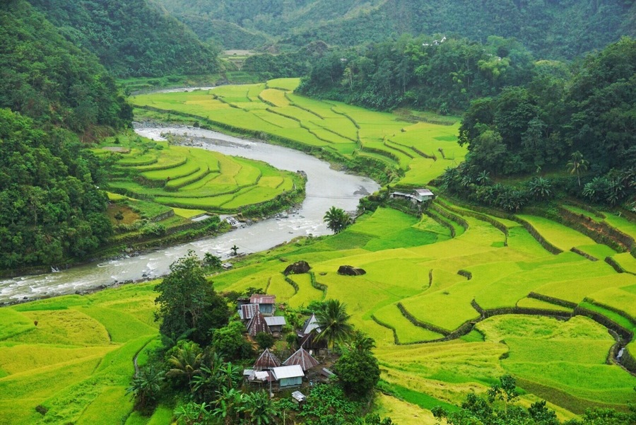 Rice Terraces in Banue, Philippines 🇵🇭