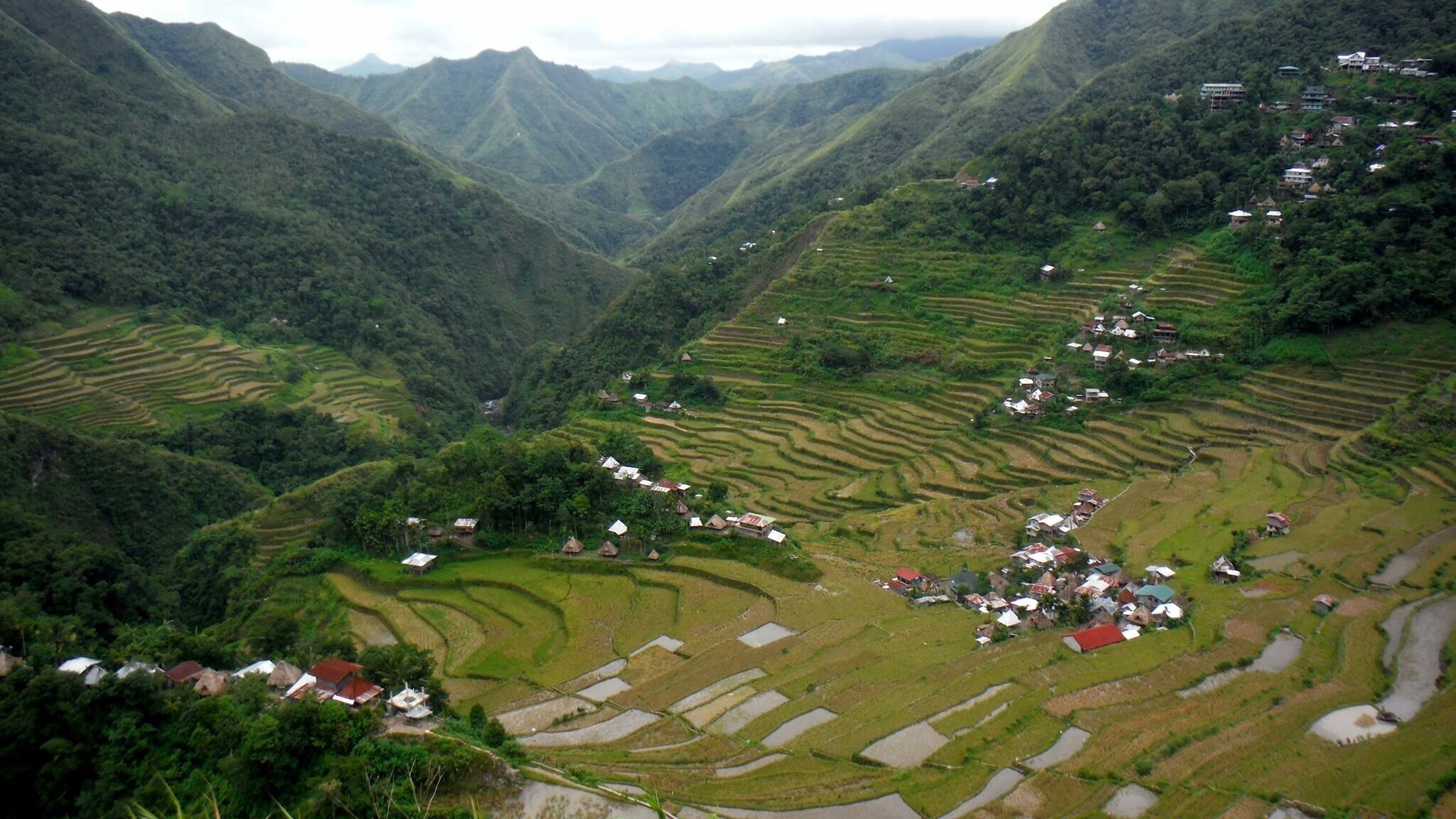Terraced rice fields, a village, and surrounding mountains.