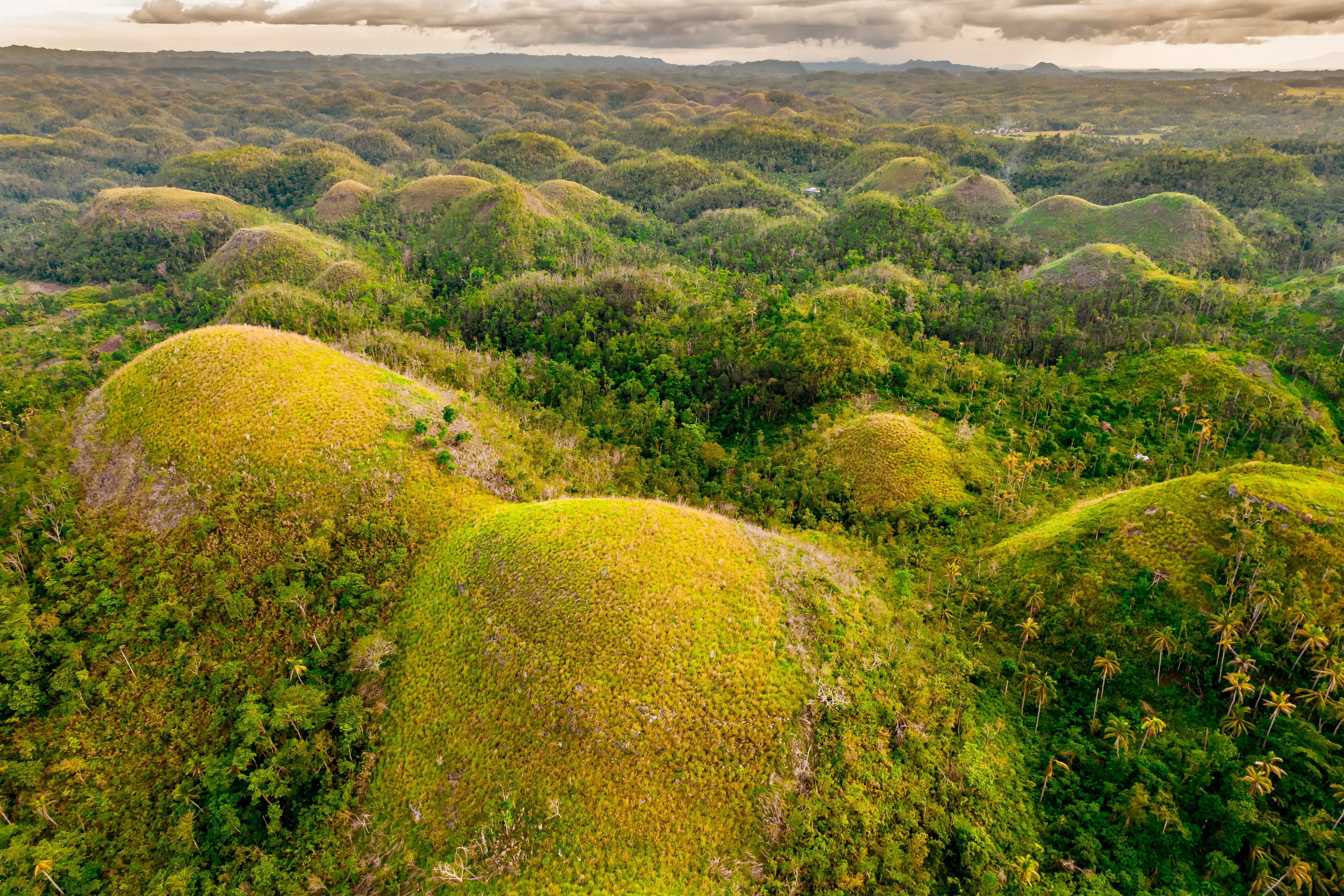 Un paisaje de colinas verdes con bosques densos y un cielo nublado.
