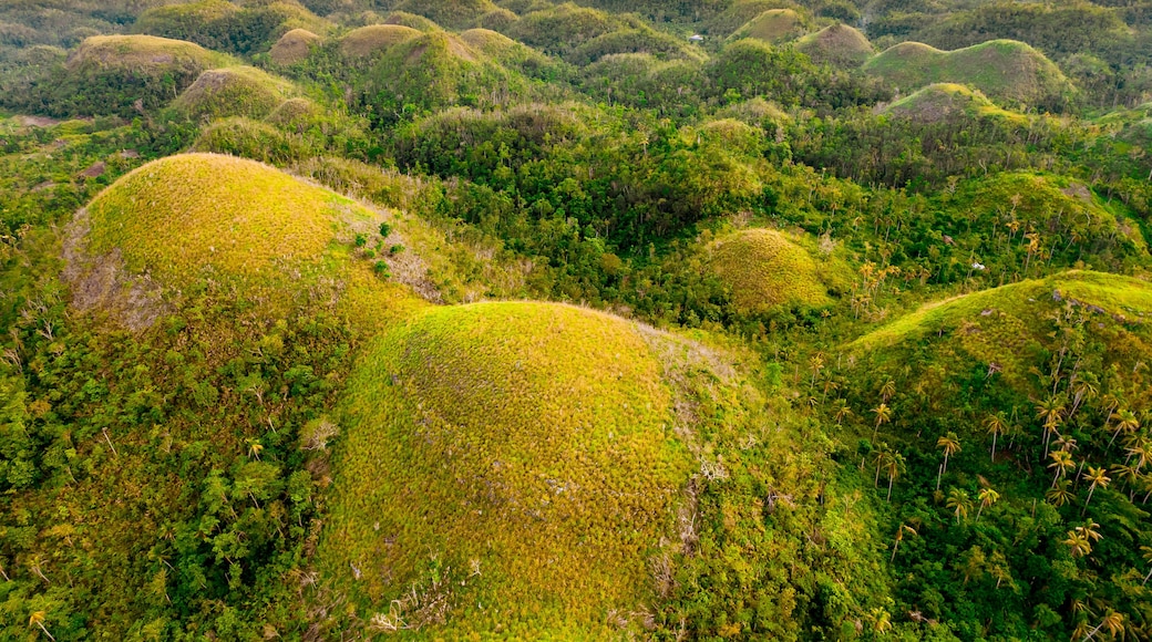Un paisaje de colinas verdes con bosques densos y un cielo nublado.