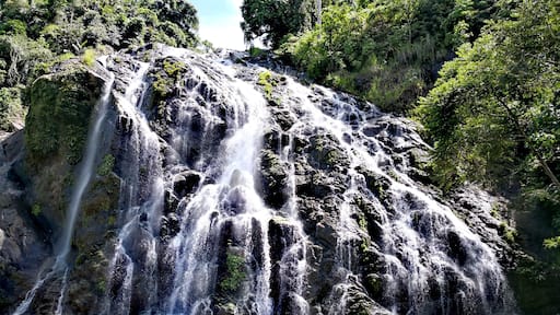 To get to this place, you need to endure over an hour of bumpy motorcycle ride, cross rivers and passing through cliffs. We went here in the middle of summer yet my friend and I were the only ones here.
#Philippines #mindanao #Nature #Waterfalls