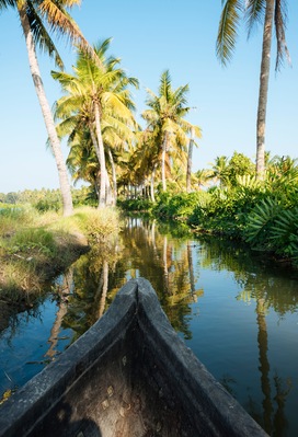 Une rivière paisible où se reflètent les palmiers, avec un bateau au premier plan.