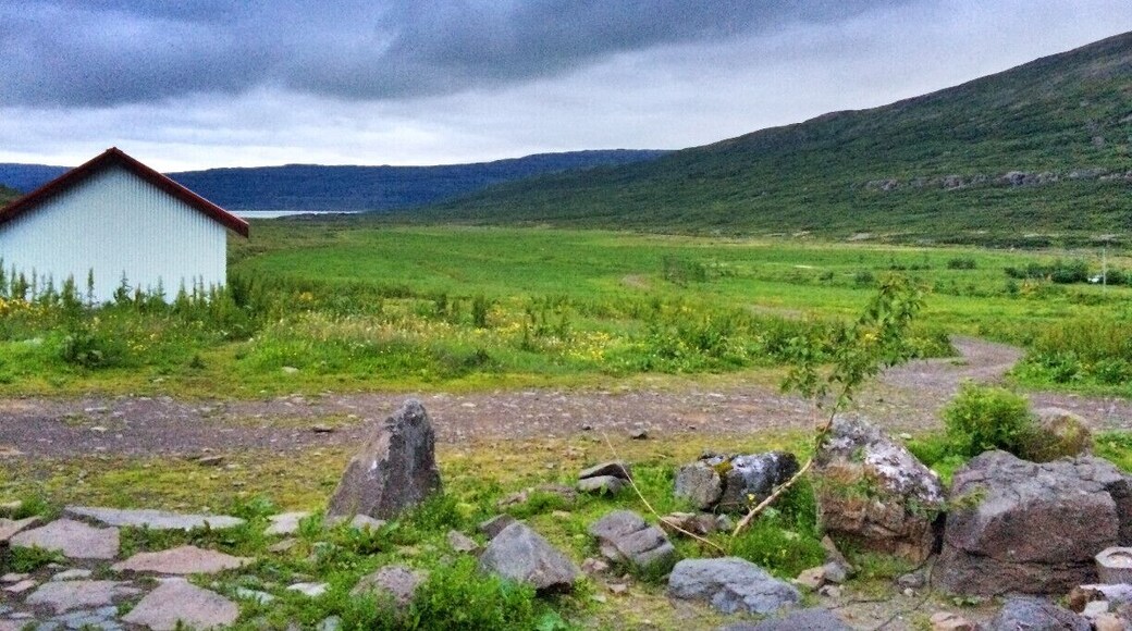 Heydalur is one of my favorite finds in Iceland. Located about an hour and a half from Ísafjörður, we stumbled upon Heydalur when we were looking for a more remote place to ride horses.
Heydalur has a guesthouse, camping facilities, a restaurant, horseback riding, kayaking, and many other activities. There are also a few outdoor hot pools, and a heated swimming pool in their lovely greenhouse. At ISK 1200 (about $10) per person, per night to camp, a stay at Heydalur is a total steal. I'd go back in a heartbeat! #TroverDetour