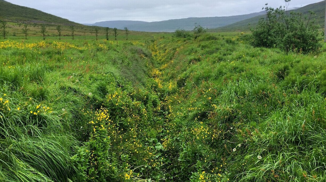Heydalur is one of my favorite finds in Iceland. Located about an hour and a half from Ísafjörður, we stumbled upon Heydalur when we were looking for a more remote place to ride horses.
Heydalur has a guesthouse, camping facilities, a restaurant, horseback riding, kayaking, and many other activities. There are also a few outdoor hot pools, and a heated swimming pool in their lovely greenhouse. At ISK 1200 (about $10) per person, per night to camp, a stay at Heydalur is a total steal. I'd go back in a heartbeat! #TroverDetour