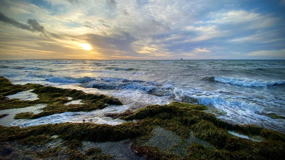 A turbulent sea with waves crashing onto rocky shores covered in seaweed.
