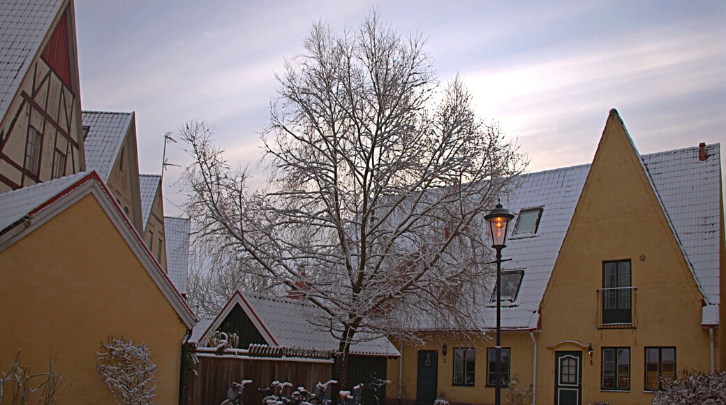 At the yearly Christmas market.