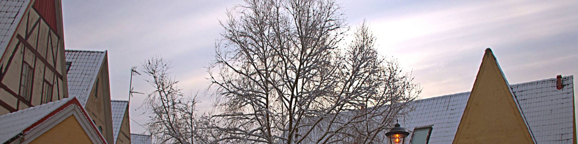 At the yearly Christmas market.