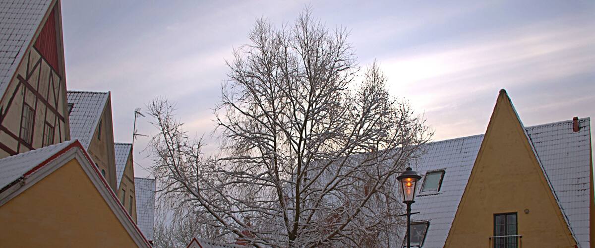 A snow-covered courtyard with bicycles, a tree, and traditional buildings.