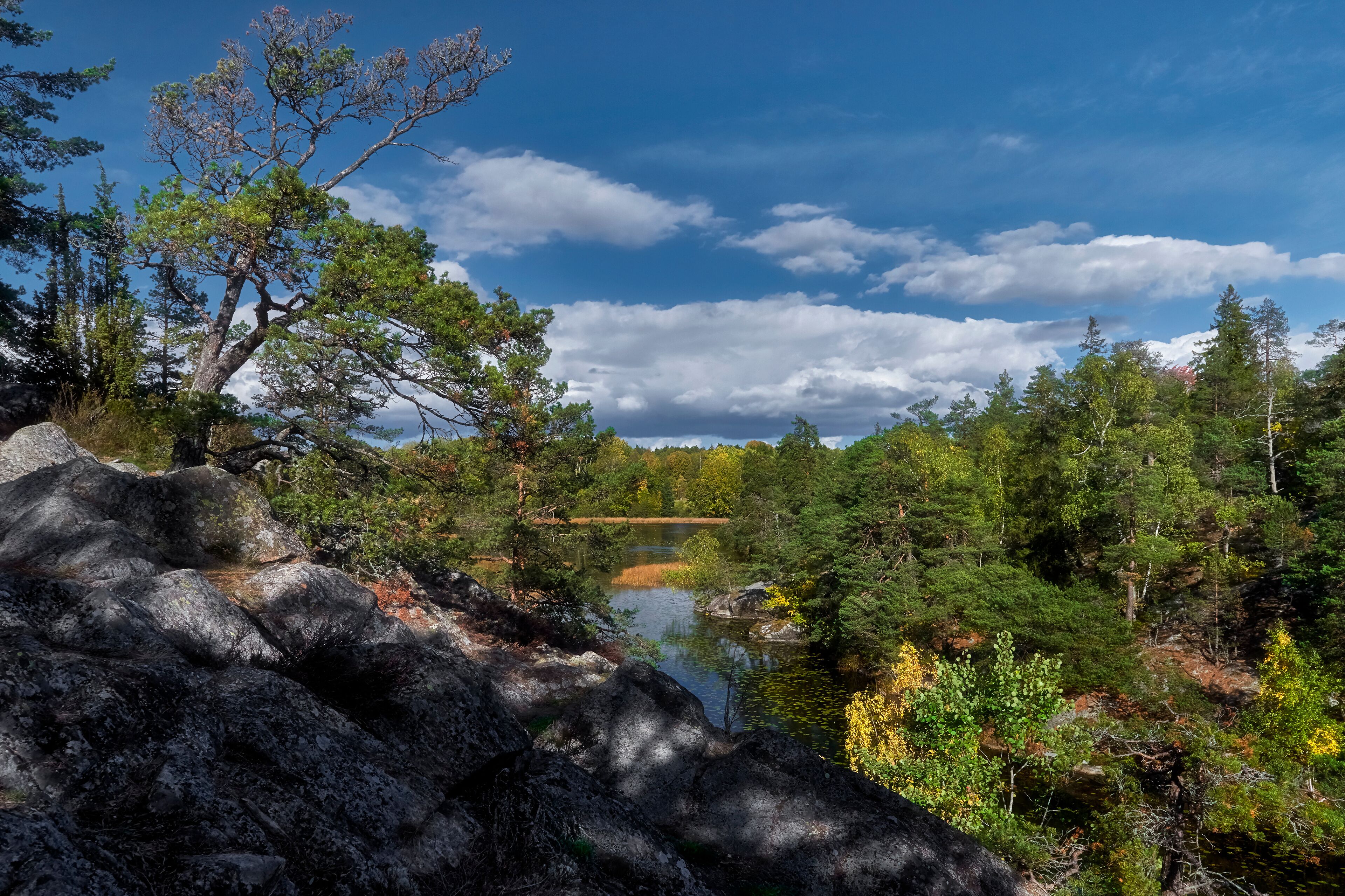 A mountainous landscape with a lake, dense forest, and rocky terrain.