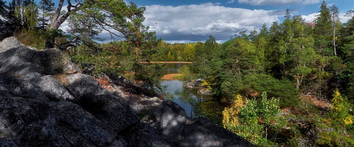 A mountainous landscape with a lake, dense forest, and rocky terrain.